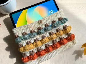 Pumpkin Patch Crochet Book/ Sleeve  Pattern