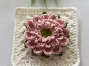 Blooming Peony Granny Square Crochet Pattern By Mushyy
