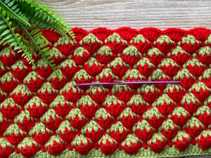 Reversible Strawberry Stitch Crochet Pattern By Mushyy
