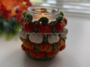 Pumpkin Patch Crochet Bottle Holder Pattern by Mushyy